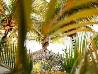 Cabana beach-strandbedden