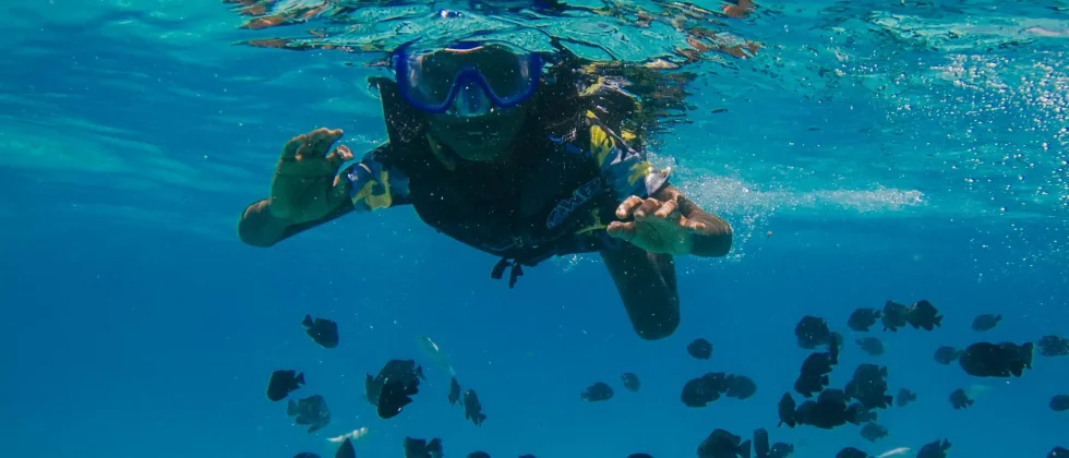 Beste-duikplekken-curaçao.webp