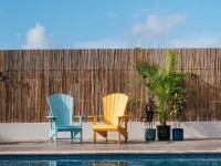zwembad-met-ligbedden-mambo-beach