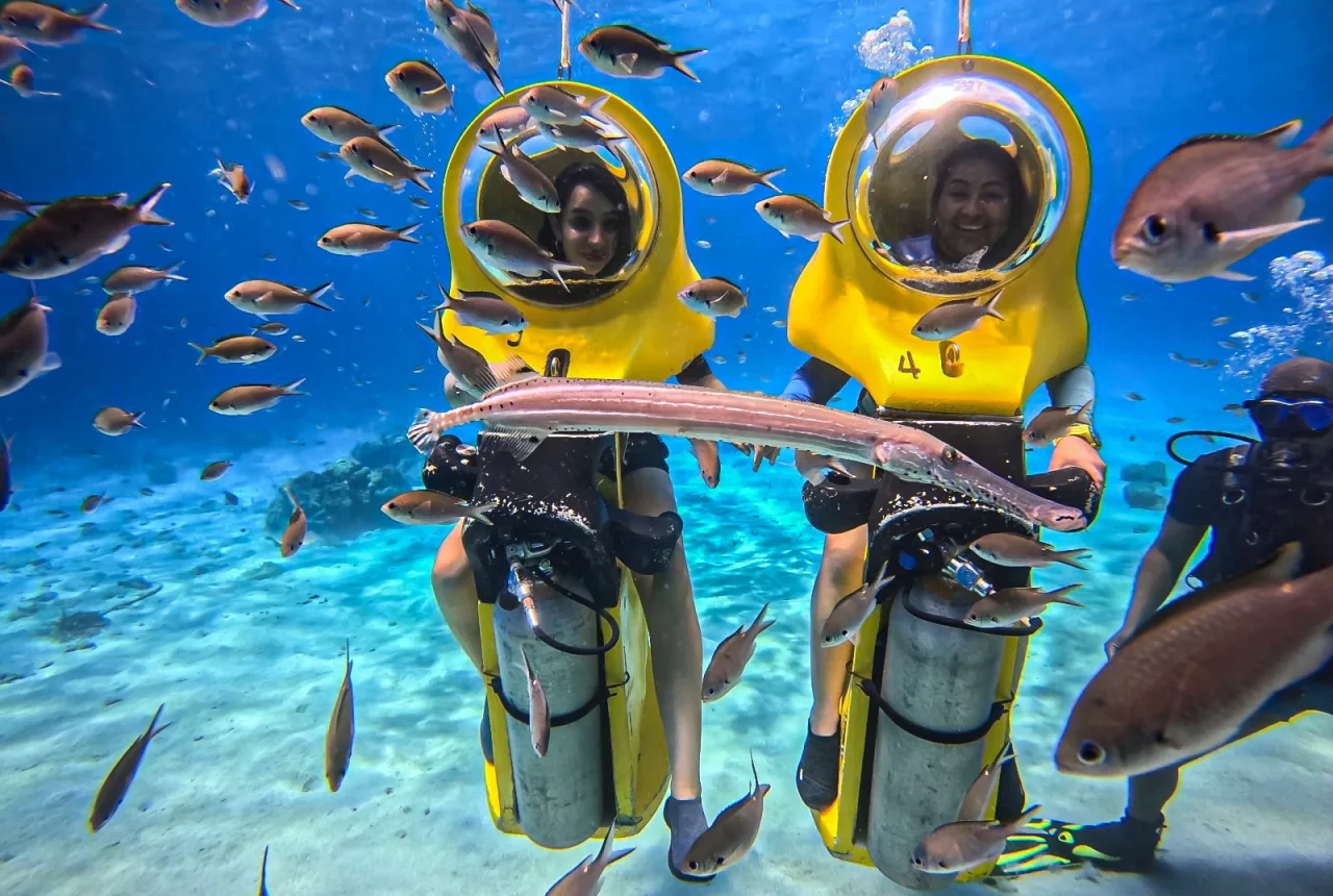 Aquafari-curacao.webp