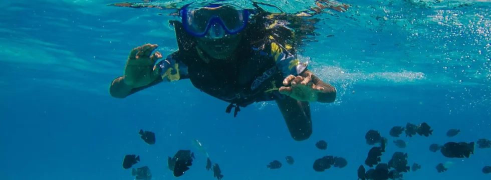 Beste-duikplekken-curaçao.webp