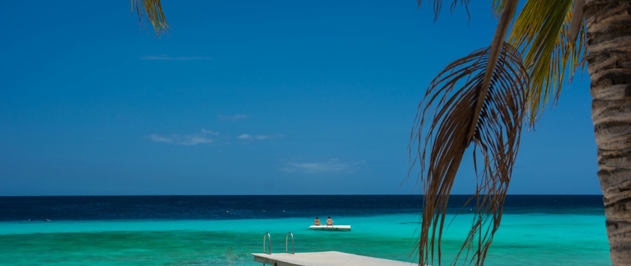 strand-palmboom-curacao